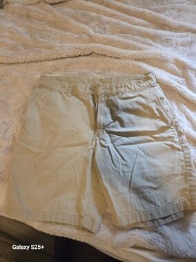 Patagonia Men's Beige Outdoor Shorts